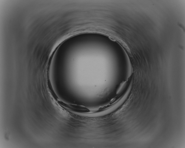 X0000092271530200709141151