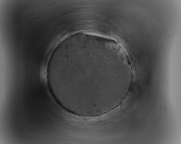 X0000092270002200709211145