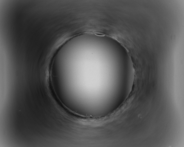 X0000092270005200709211145