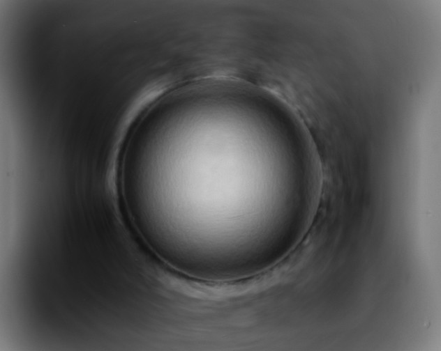 X0000092270006200709211145
