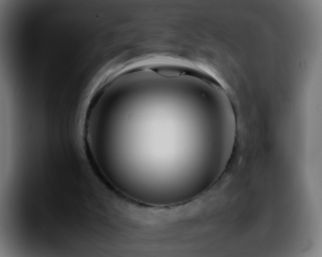 X0000092270007200709211145