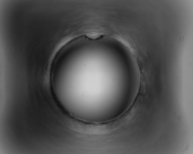 X0000092270008200709211145