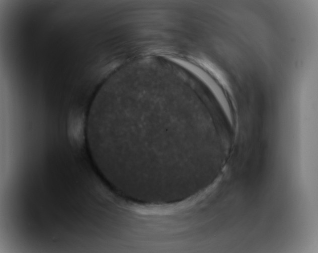 X0000092270009200709211145