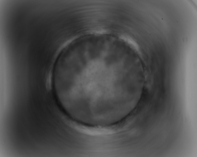 X0000092270012200709211145