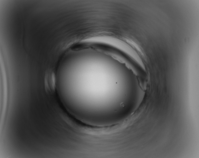 X0000092270013200709211145
