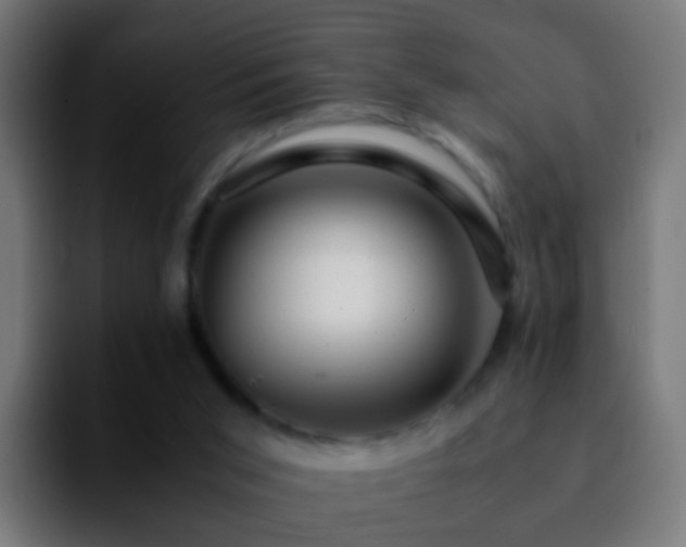 X0000092270015200709211145