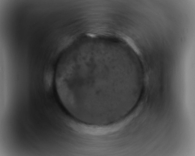 X0000092270018200709211145