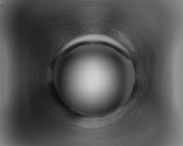 X0000092270025200709211145