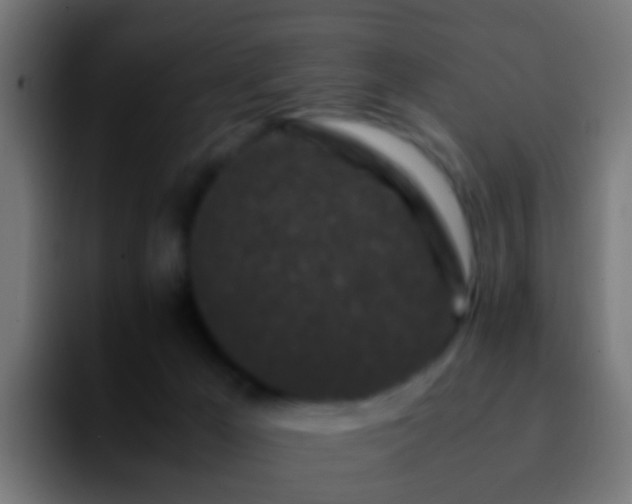X0000092270029200709211145
