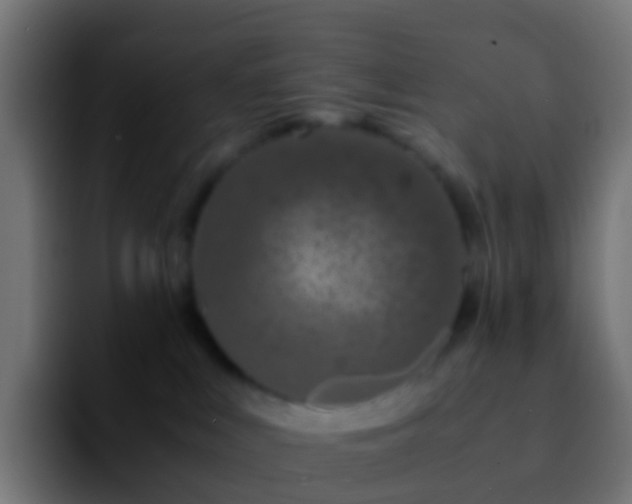 X0000092270043200709211145