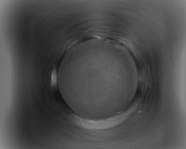 X0000092270046200709211145