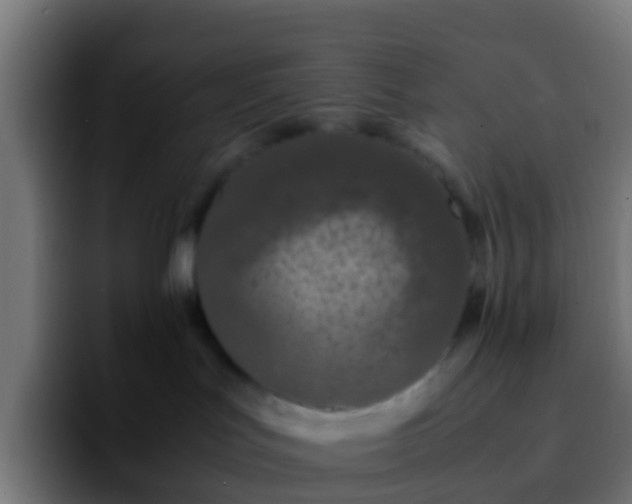 X0000092270047200709211145