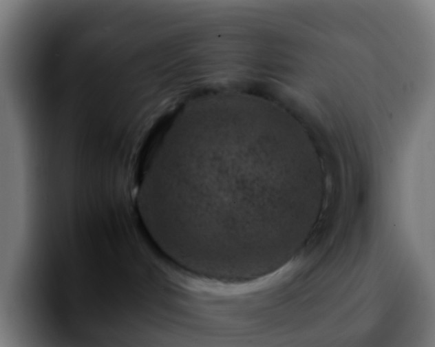 X0000092270048200709211145