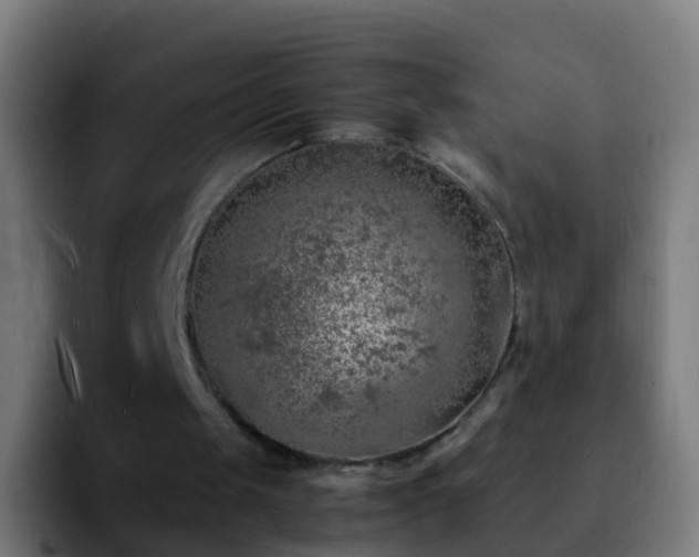 X0000092270049200709211144
