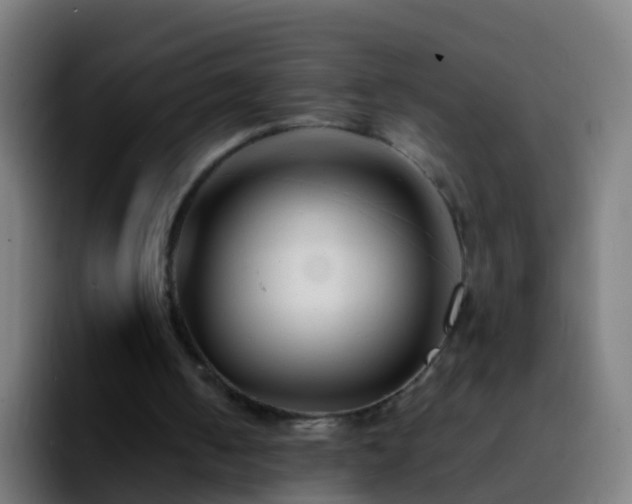 X0000092270050200709211144