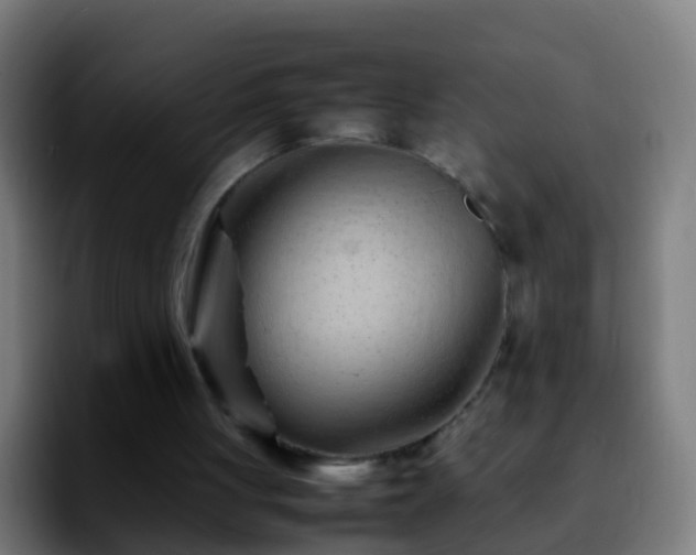 X0000092270051200709211144