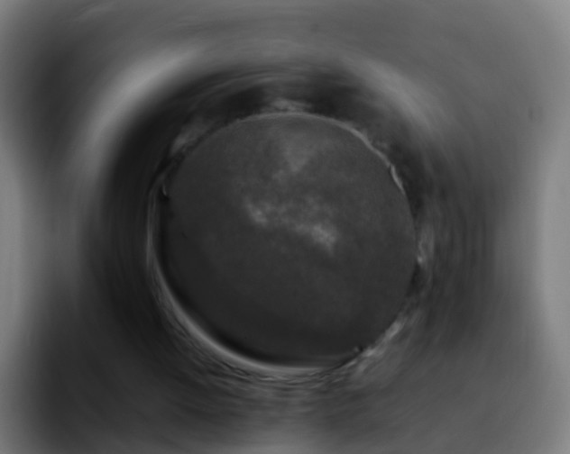 X0000092270052200709211144
