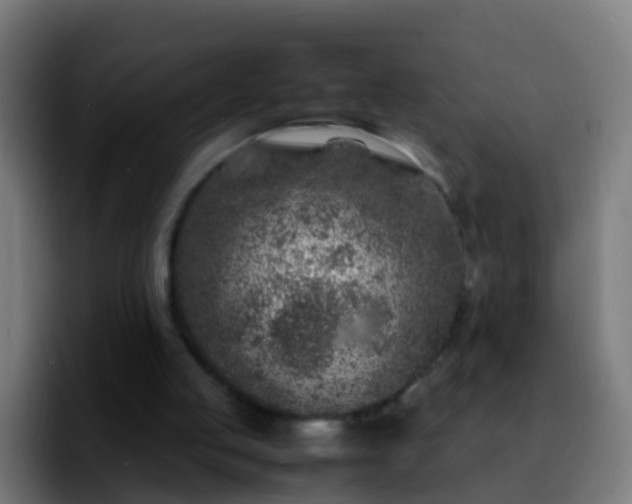 X0000092270053200709211144