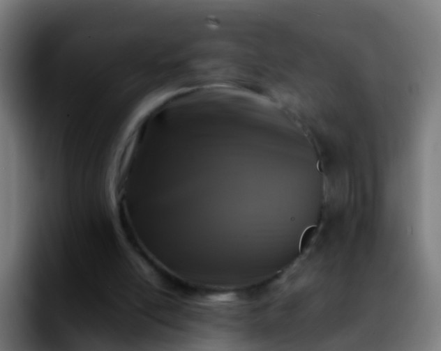 X0000092270054200709211144