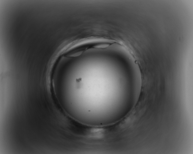 X0000092270055200709211144