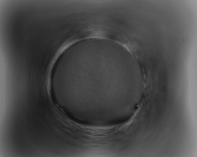 X0000092270056200709211144