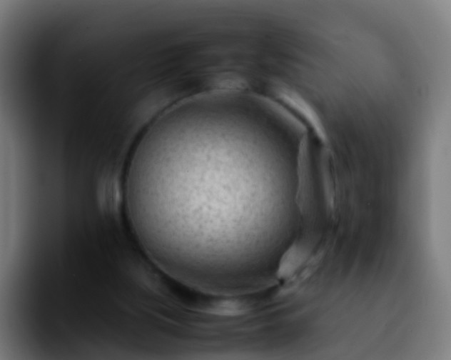 X0000092270059200709211144