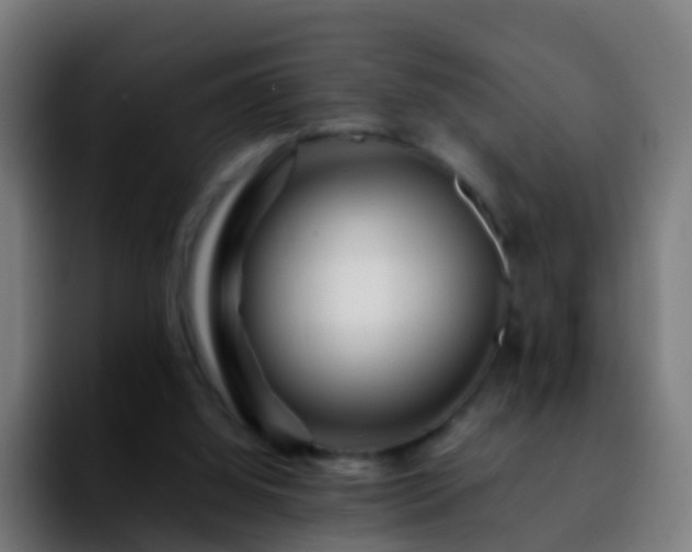 X0000092270060200709211144