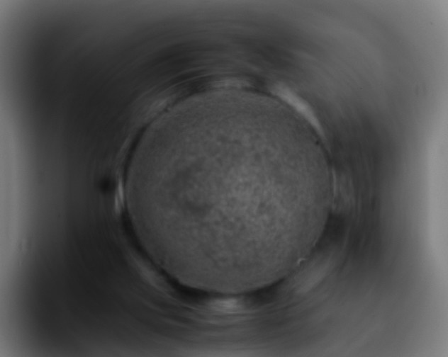 X0000092270061200709211144