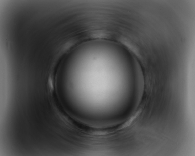 X0000092270062200709211144