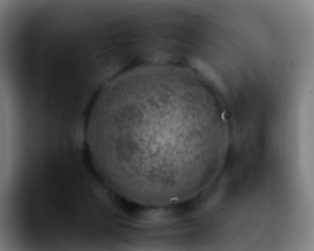 X0000092270065200709211144