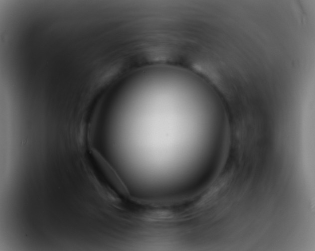 X0000092270066200709211144