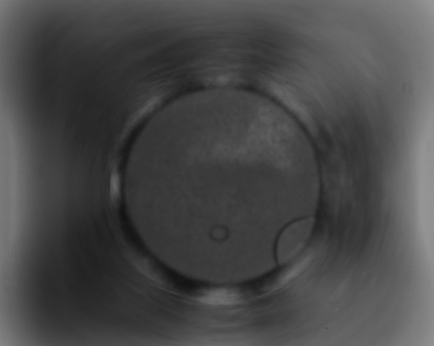 X0000092270067200709211144