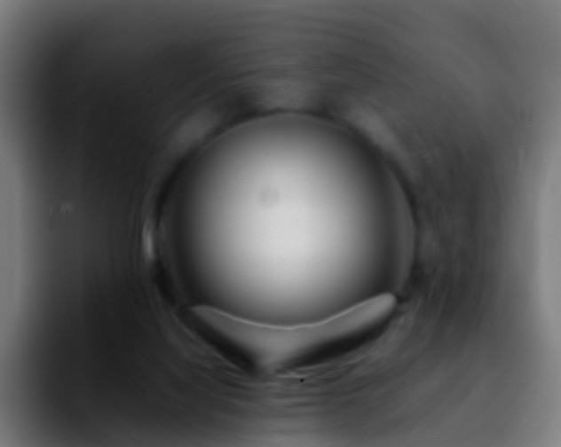 X0000092270068200709211144