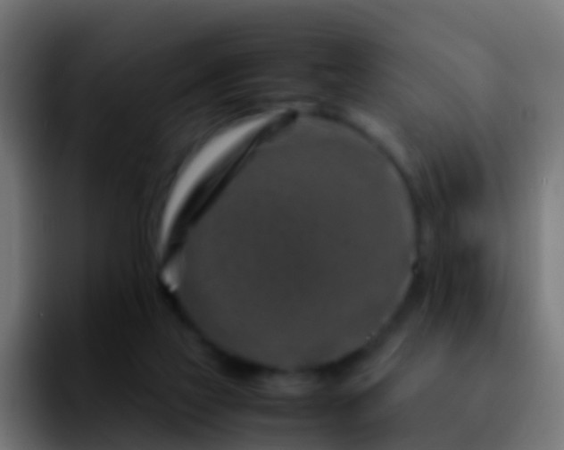 X0000092270069200709211144