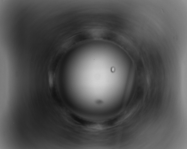 X0000092270075200709211144