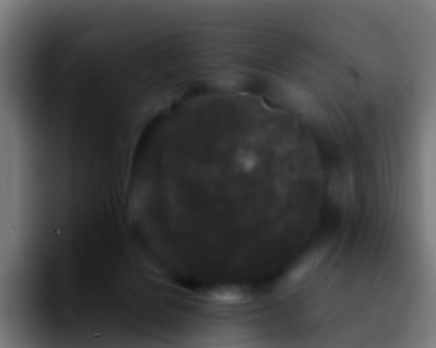 X0000092270076200709211144