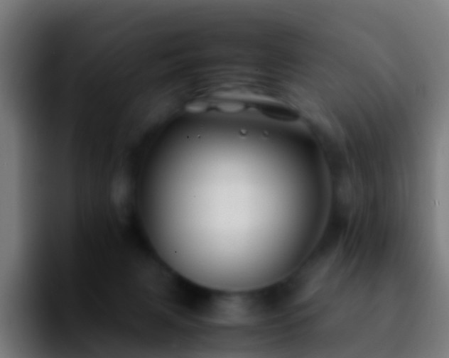 X0000092270079200709211145