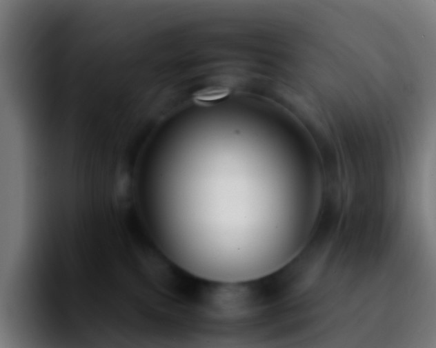 X0000092270087200709211145