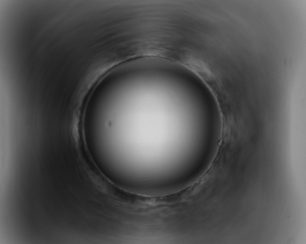 X0000092270098200709211144