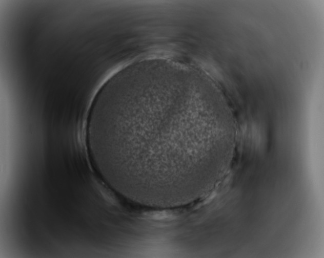 X0000092270100200709211144