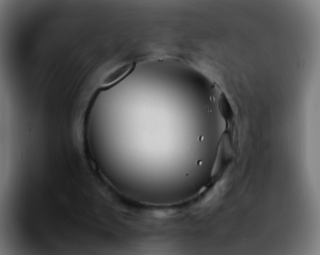X0000092270103200709211144