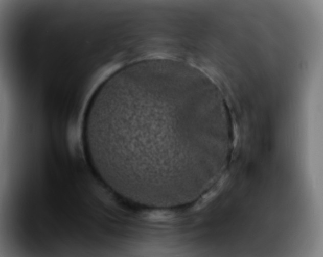 X0000092270104200709211144