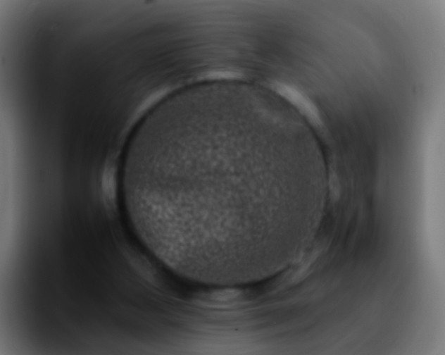 X0000092270108200709211144