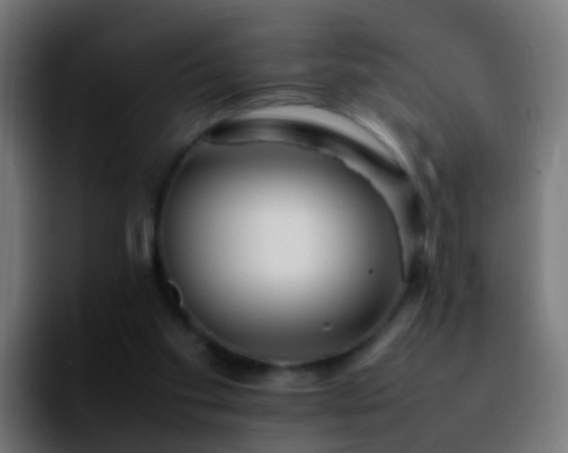 X0000092270109200709211144
