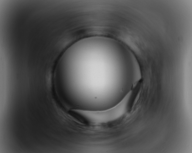 X0000092270111200709211144