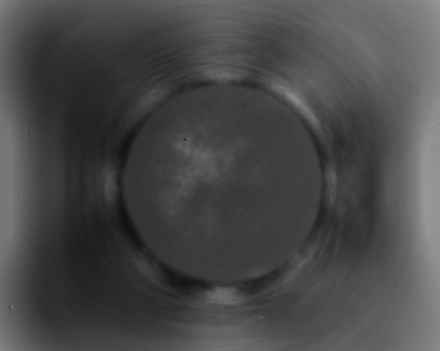 X0000092270114200709211144