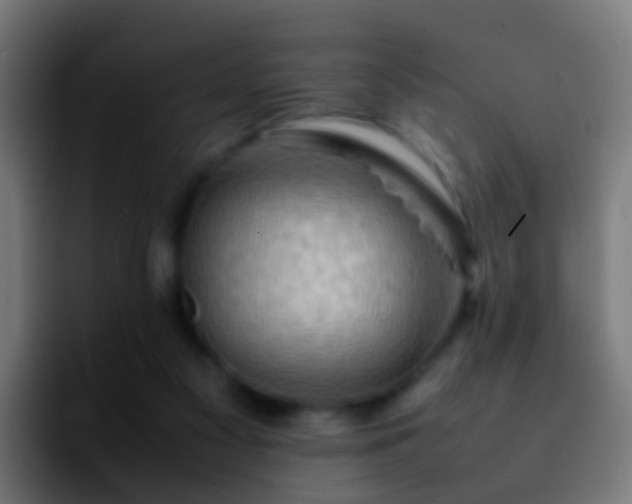 X0000092270117200709211144