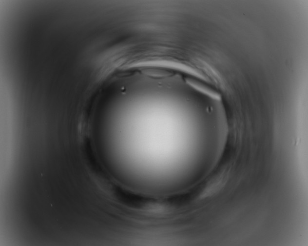 X0000092270119200709211144