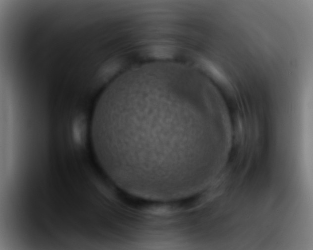 X0000092270120200709211144