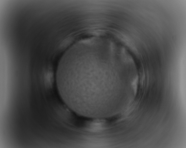 X0000092270128200709211144